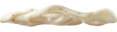 Sauce Chicken Cheese
